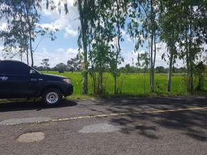 ขายถูกที่ดินอุบล