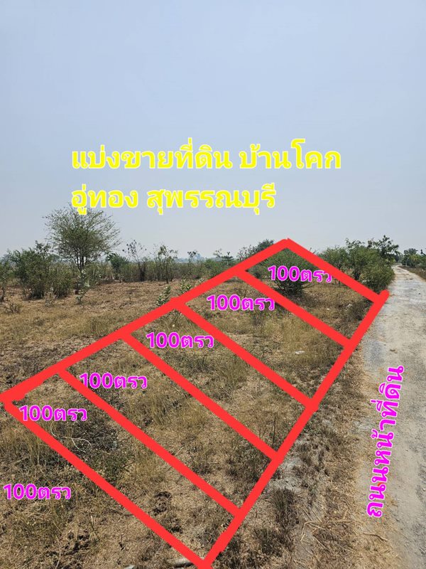 ขายด่วน แบ่งขายที่ดิน 100 ตร.ว. อำเภออู่ทอง จังหวัดสุพรรณบุรี ใกล้แหล่งชุมชน บ้านโคก ต.หนองโอ่ง โทร 0622656544