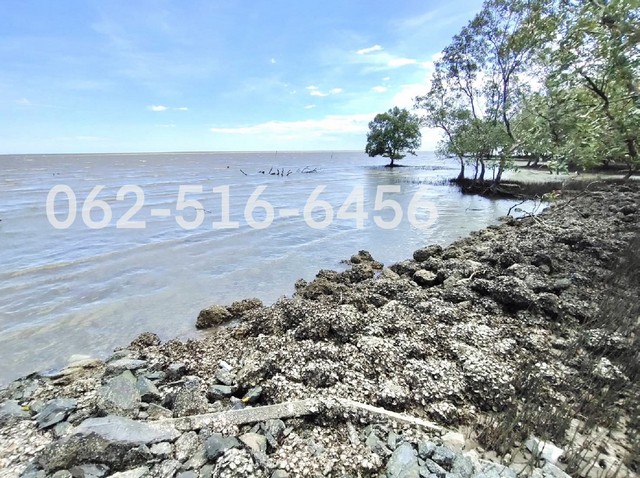 เป็นเจ้าของที่ดินติดทะเล 5 ไร่ ได้ในราคาไม่แพง แปลงสุดท้าย สมุทรส