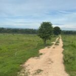 ขายที่ดิน เนื้อที่ 114 ไร่ กว่าๆ บ้านโป่ง ราชบุรี