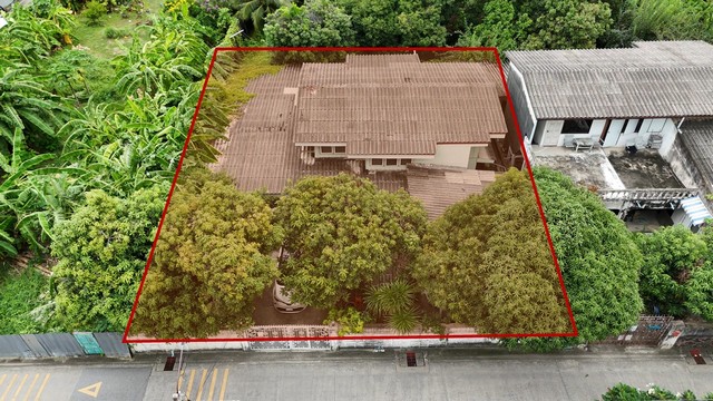 ขายบ้านเดี่ยวสุขุมวิท 64 ที่ดินสุขุมวิท 64 ใกล้ BTS ปุณณวิถี อุดม