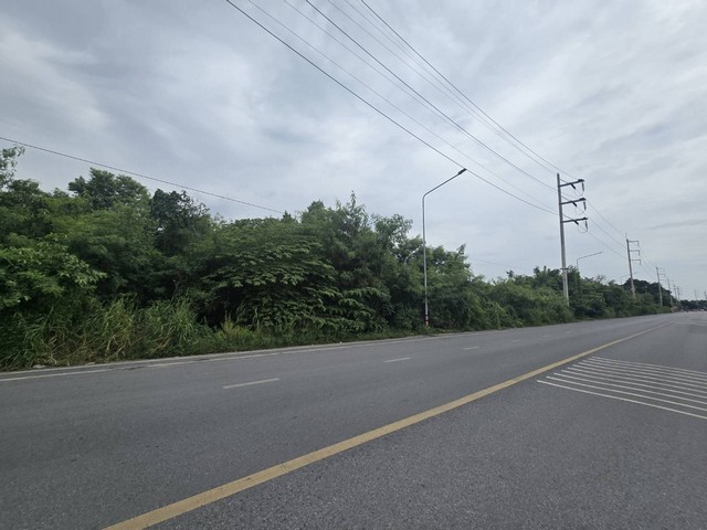 ขายที่ดินเปล่า 8-3-73.3 ไร่ ถนนสวนพริกไทย เมืองปทุมธานี ใกล้วัดเส