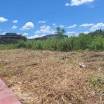 ขายที่ดินเปล่า 4-2-0 ไร่ ติด ม.รังสิต ปทุมธานี