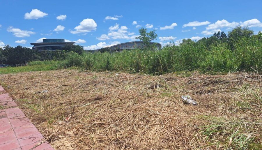 ขายที่ดินเปล่า 4-2-0 ไร่ ติด ม.รังสิต ปทุมธานี