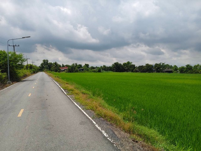 ขายที่ดิน2 ไร่ ใกล้มหาวิทยาลัยศรีนครินทรวิโรฒองครักษ์ คลอง16 องคร