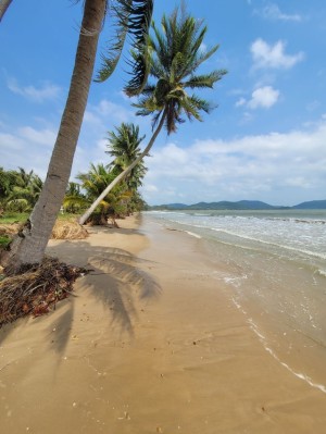 ที่ดิน ขาย เหมาะทำโรงแรม ติดทะเลชุมพรใกล้แหล่งท่องเที่ยว รีสอร์ท หาดส่วนตัวอ่าวทุ่งมะขาม ที่ดินติดทะเลชุมพร-หาดขาวสะอาด