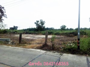ที่ดิน ขาย เหมาะจัดสรรแบ่งขาย, เหมาะทำหมู่บ้านจัดสรร โครงการเชิงพาณิชย์ ที่ดินธัญบุรีคลอง6,หรือปทุมธานี ขายถูก