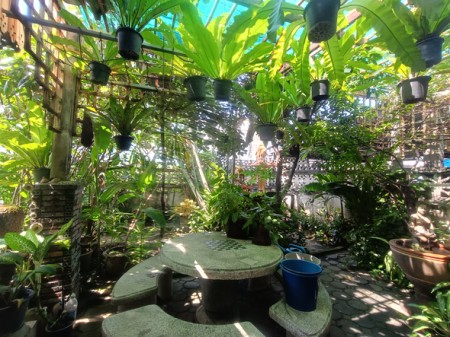 บ้าน ขาย สะดวกเดินทางหลายทาง เลียบด่วน เกษตรนวมินทร์–เอกมัย–รามอินทรา บ้านมือสองลาดพร้าวโชคชัย4 ใกล้โรงพยาบาลเปาโลโชคชัย4