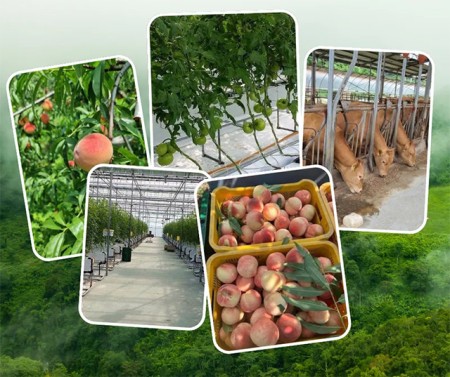 ประกาศ บริการ จัดหางานต่างประเทศ รายได้ดีมาก งานสวนประเทศเกาหลีใต้ งานสวนประเทศออสเตรเลีย รับสมัครงานต่างประเทศด่วน