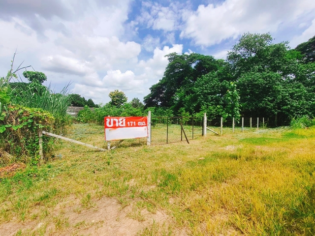 ที่ดิน ขาย เหมาะสร้างบ้านอพาร์ตเมนต์หอพัก ยินดีรับนายหน้า ใกล้ทั้งเมืองสนามบินและศูนย์การค้า เหมาะสร้างบ้านเช่าทำออฟฟิศ บ้านป่าพร้าวนอกซอย6วงแหวนรอบ1