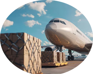 บริการ ประกาศ ชิปปิ้งมืออาชีพ เคลียร์สินค้านำเข้า DHL,FedEx,UPS สินค้าทางอากาศ ผ่านศุลกากรเร็วขึ้น